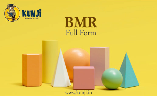 bmr full form