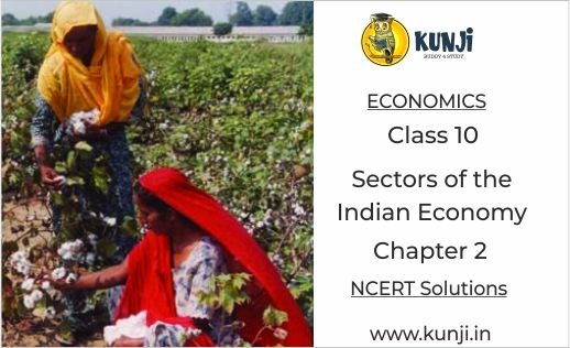 Sectors of the Indian Economy Chapter 2 Economics CBSE Class 10 NCERT Solutions